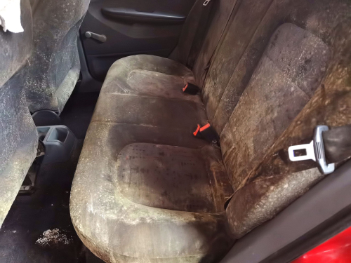 IMG_20231015_080321_edit_892073419818045