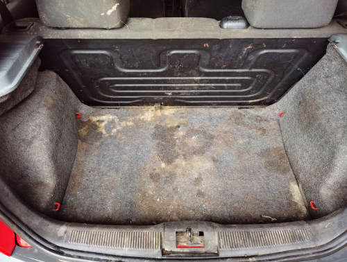 IMG_20231015_080745_edit_892822275956994