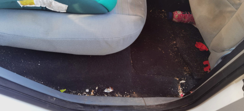 IMG_20240120_140659_edit_862722392705335