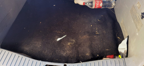 IMG_20240120_140731_edit_862831028586569