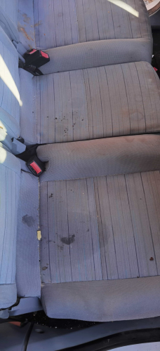 IMG_20240120_141747_edit_863268662652648